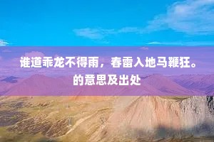 谁道乖龙不得雨，春雷入地马鞭狂。的意思及出处