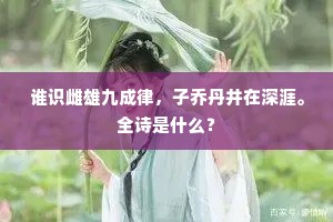谁识雌雄九成律，子乔丹井在深涯。全诗是什么？
