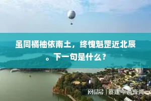 虽同橘柚依南土，终愧魁罡近北辰。下一句是什么？