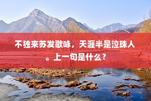 不独来苏发歌咏，天涯半是泣珠人。上一句是什么？
