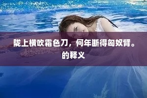 陇上横吹霜色刀，何年断得匈奴臂。的释义