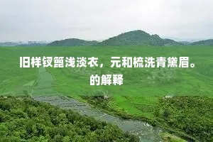 旧样钗篦浅淡衣，元和梳洗青黛眉。的解释