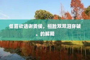 低眉欲语谢贵侯，檀脸双双泪穿破。的解释