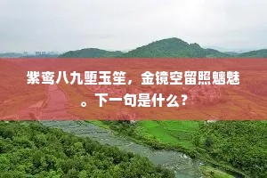 紫鸾八九堕玉笙，金镜空留照魑魅。下一句是什么？