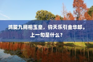 鸿胧九阙相玉皇，钧天乐引金华郎。上一句是什么？