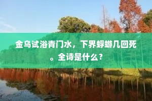 金乌试浴青门水，下界蜉蝣几回死。全诗是什么？