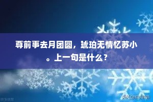 尊前事去月团圆，琥珀无情忆苏小。上一句是什么？