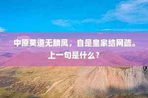 中原莫道无麟凤，自是皇家结网疏。上一句是什么？