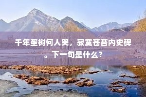 千年垄树何人哭，寂寞苍苔内史碑。下一句是什么？