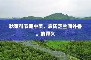 耿家符节朝中美，袁氏芝兰阃外香。的释义