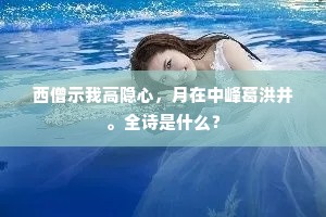 西僧示我高隐心，月在中峰葛洪井。全诗是什么？