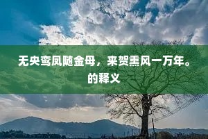 无央鸾凤随金母，来贺熏风一万年。的释义