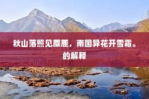 秋山落照见麋鹿，南国异花开雪霜。的解释