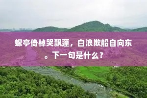 螺亭倚棹哭飘蓬，白浪欺船自向东。下一句是什么？