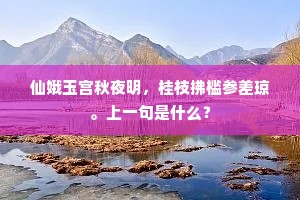 仙娥玉宫秋夜明，桂枝拂槛参差琼。上一句是什么？