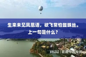 生来未见凤凰语，欲飞常怕蜘蛛丝。上一句是什么？