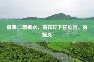 鲁家襜褕暗披水，雪花灯下甘垂翅。的释义