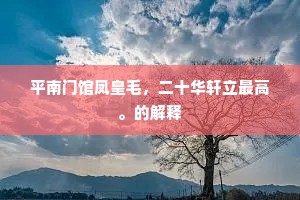 平南门馆凤皇毛，二十华轩立最高。的解释