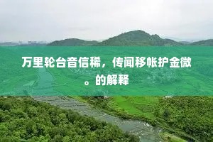 万里轮台音信稀，传闻移帐护金微。的解释