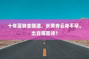 十年蓬转金陵道，长哭青云身不早。出自哪首诗？