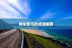 鲜车怒马的成语解释
