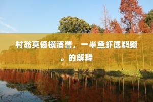 村翁莫倚横浦罾，一半鱼虾属鹈獭。的解释