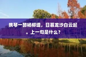 携琴一醉杨柳堤，日暮龙沙白云起。上一句是什么？