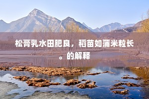 松膏乳水田肥良，稻苗如蒲米粒长。的解释