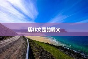 质非文是的释义