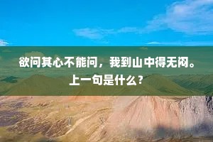 欲问其心不能问，我到山中得无闷。上一句是什么？