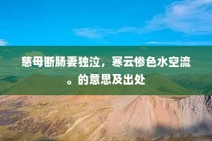 慈母断肠妻独泣，寒云惨色水空流。的意思及出处