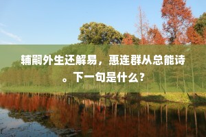 辅嗣外生还解易，惠连群从总能诗。下一句是什么？