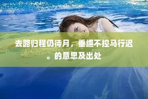 去路归程仍待月，垂缰不控马行迟。的意思及出处