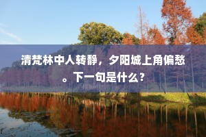 清梵林中人转静，夕阳城上角偏愁。下一句是什么？