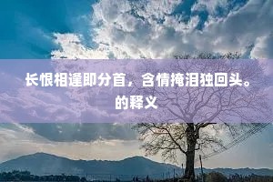 长恨相逢即分首，含情掩泪独回头。的释义