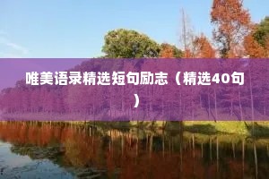 唯美语录精选短句励志（精选40句）