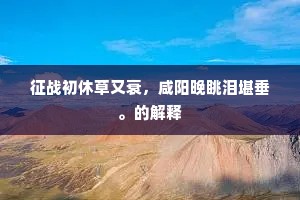 征战初休草又衰，咸阳晚眺泪堪垂。的解释