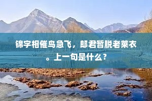 锦字相催鸟急飞，郎君暂脱老莱衣。上一句是什么？
