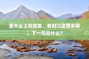 望夫山上花犹发，新妇江边莺未稀。下一句是什么？