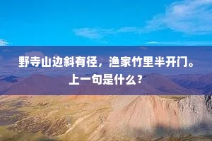 野寺山边斜有径，渔家竹里半开门。上一句是什么？