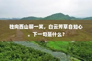 独向西山聊一笑，白云芳草自知心。下一句是什么？