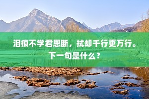 泪痕不学君恩断，拭却千行更万行。下一句是什么？