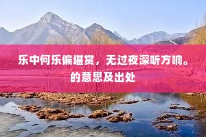 乐中何乐偏堪赏，无过夜深听方响。的意思及出处