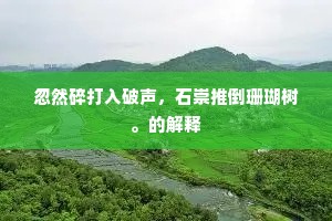 忽然碎打入破声，石崇推倒珊瑚树。的解释