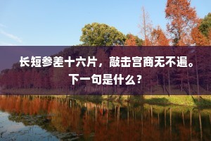 长短参差十六片，敲击宫商无不遍。下一句是什么？