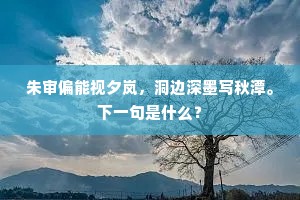 朱审偏能视夕岚,洞边深墨写秋潭。下一句是什么? 朱审偏能视夕岚,洞边深墨写秋潭。下一句是什么?