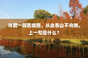 与君一顾西墙画，从此看山不向南。上一句是什么？
