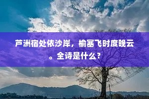 芦洲宿处依沙岸，榆塞飞时度晚云。全诗是什么？