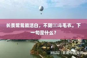 长羡鹭鸶能洁白，不随鸂鶒斗毛衣。下一句是什么？