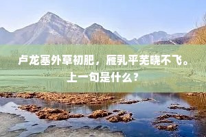 卢龙塞外草初肥,雁乳平芜晓不飞。上一句是什么? 卢龙塞外草初肥,雁乳平芜晓不飞。上一句是什么?